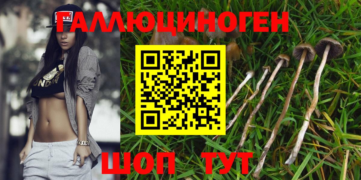 Галлюциногенные грибы мухоморы Муром