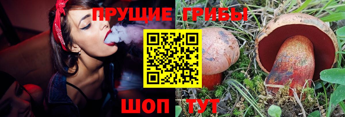 сколько стоит  Вход с VPN  Муром  Галлюциногенные грибы ЛСД 